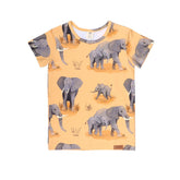 T-shirt made of cotton (organic)